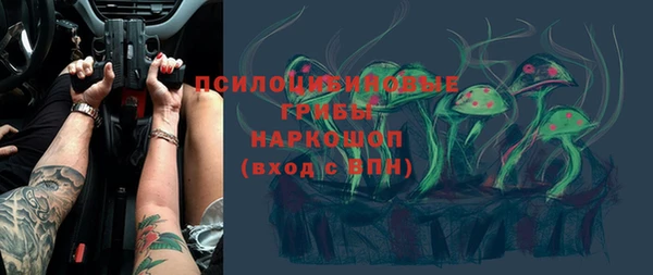 СК Белокуриха