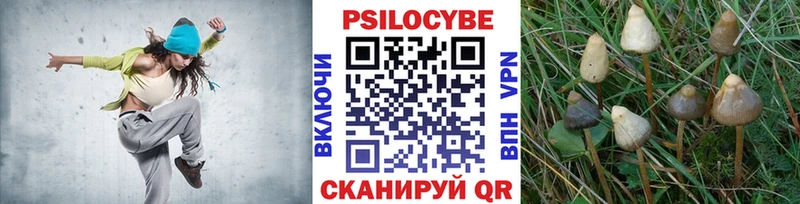 Псилоцибиновые грибы мухоморы  даркнет сайт  KRAKEN как зайти  Кувандык 